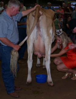 Bevo could enter the Cleveland County Livestock Show