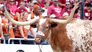 bevo
